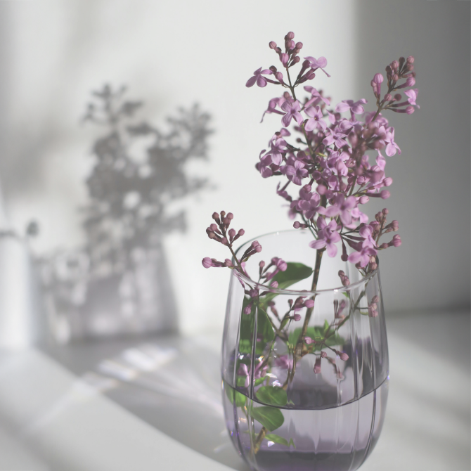 私が副院長になった理由