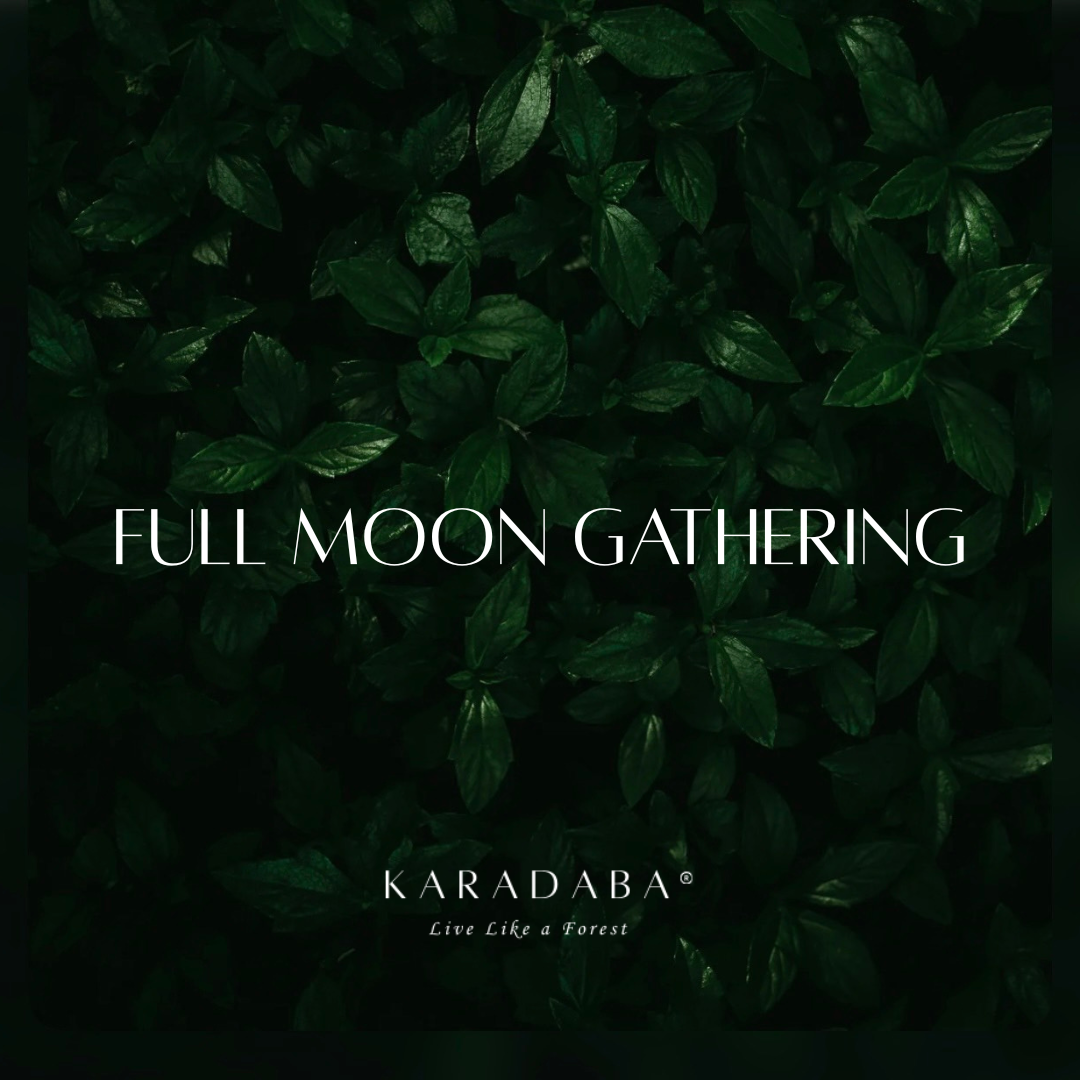 満月の会 11/5 21:00〜