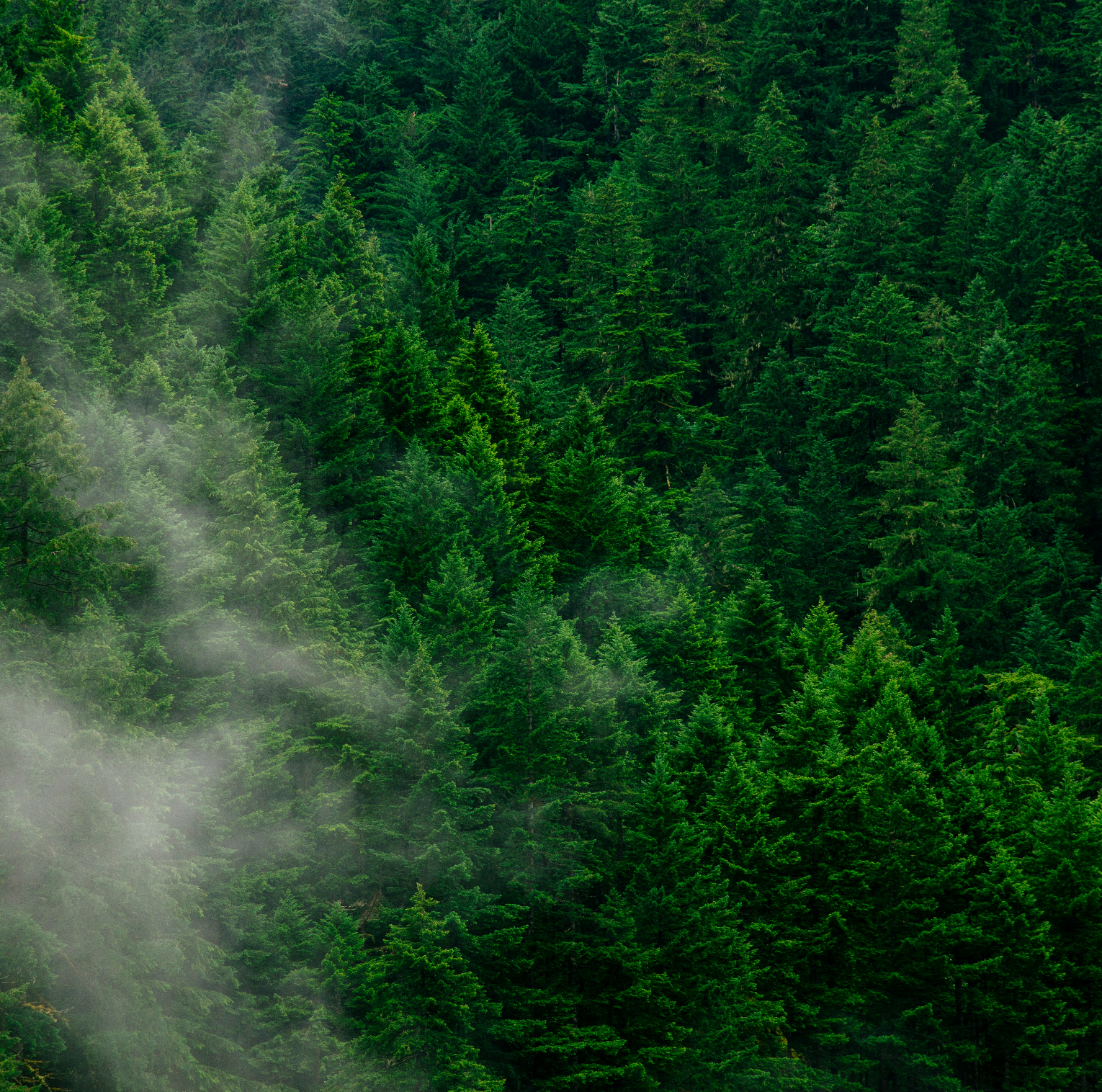 コミュニティに参加