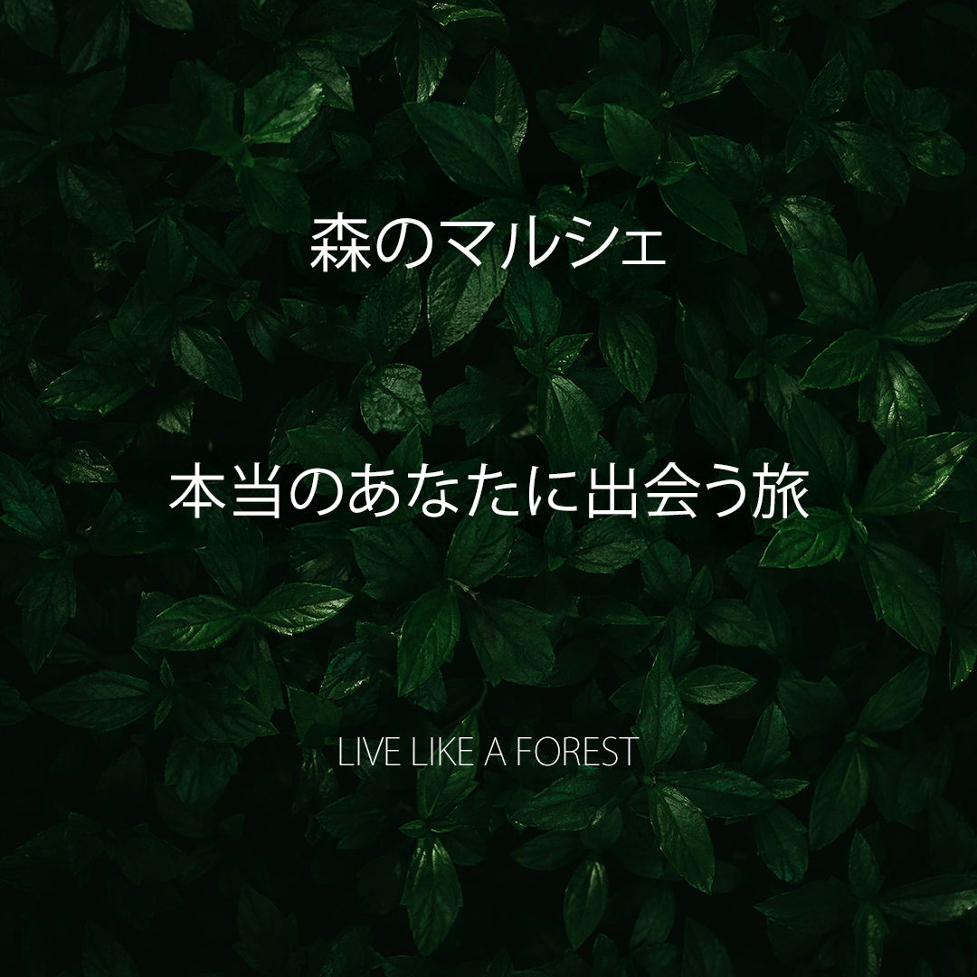 バイオリズム会