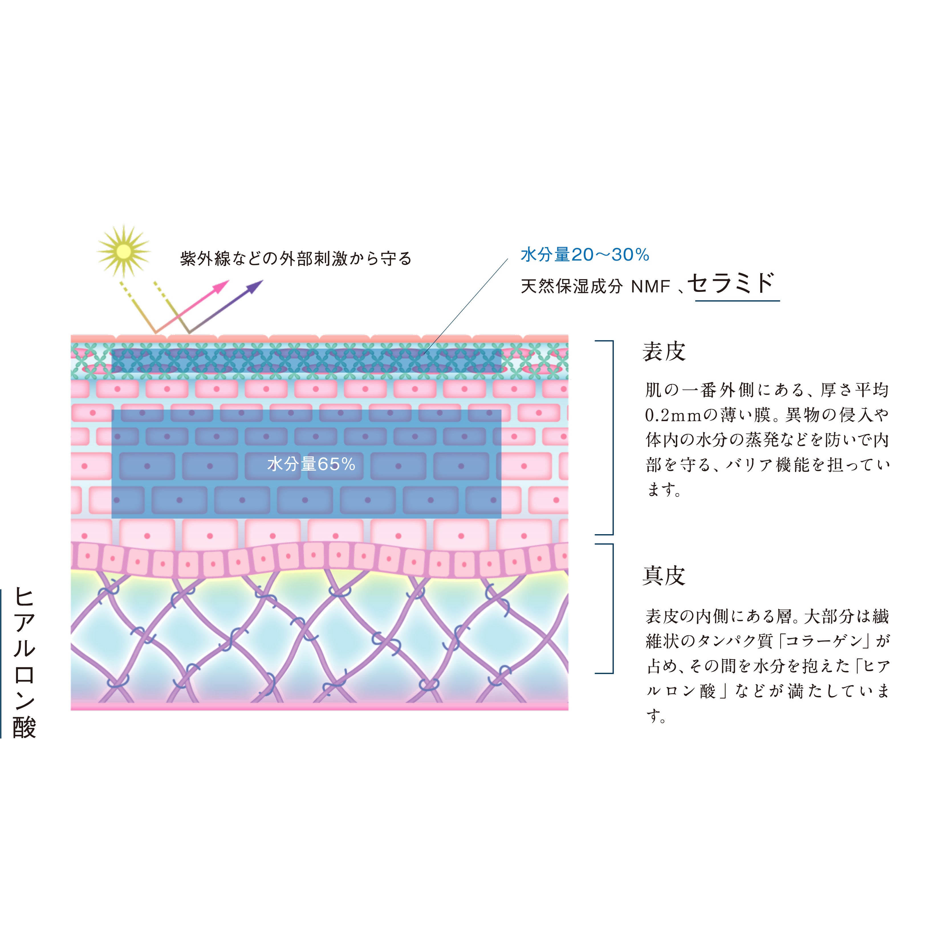 ハイブリッド洗顔フォーム 100ml