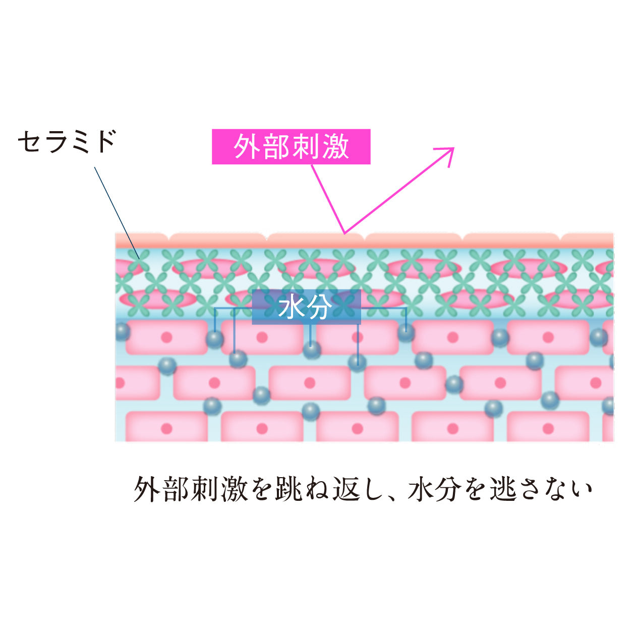 ハイブリッド洗顔フォーム 100ml