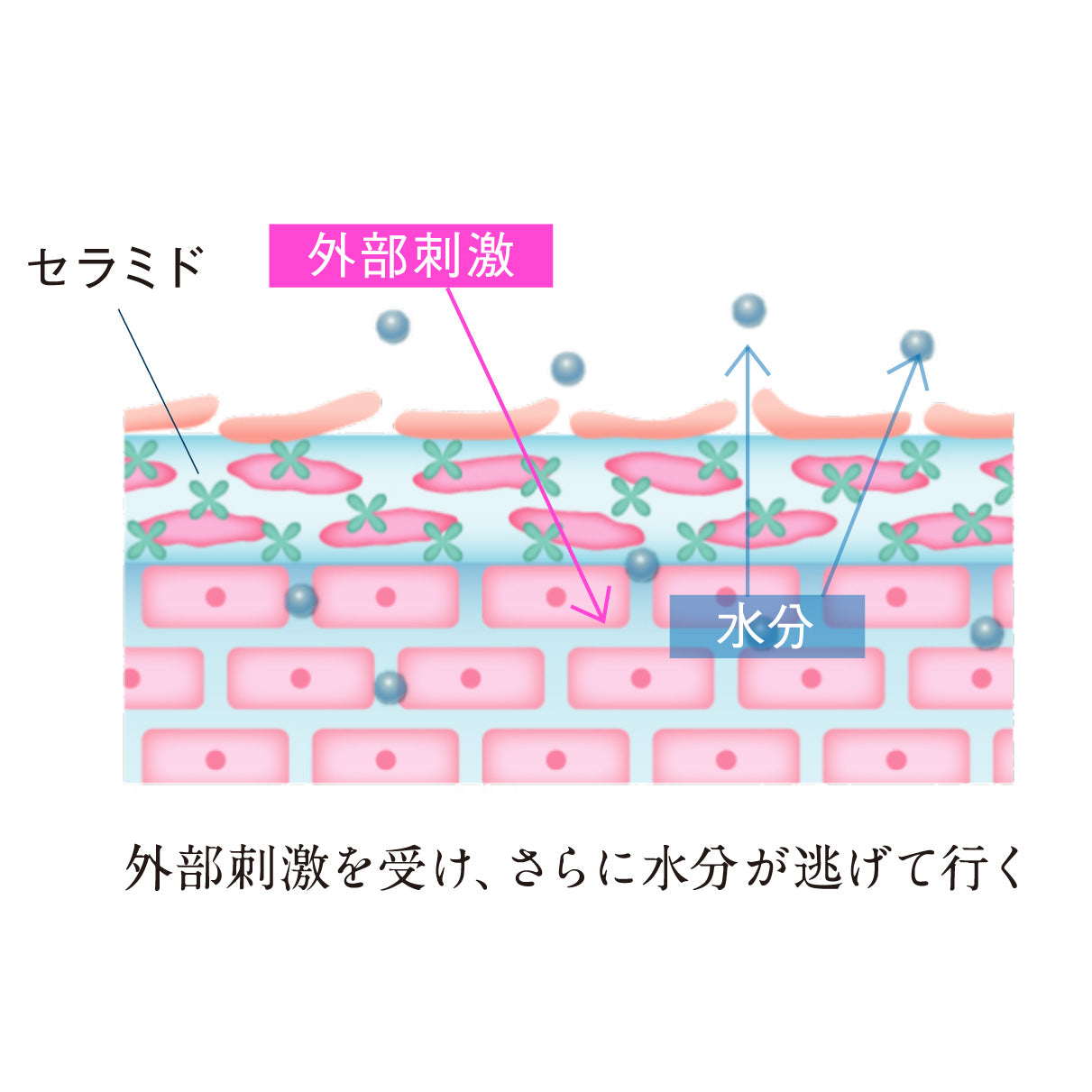 ハイブリッド洗顔フォーム 100ml
