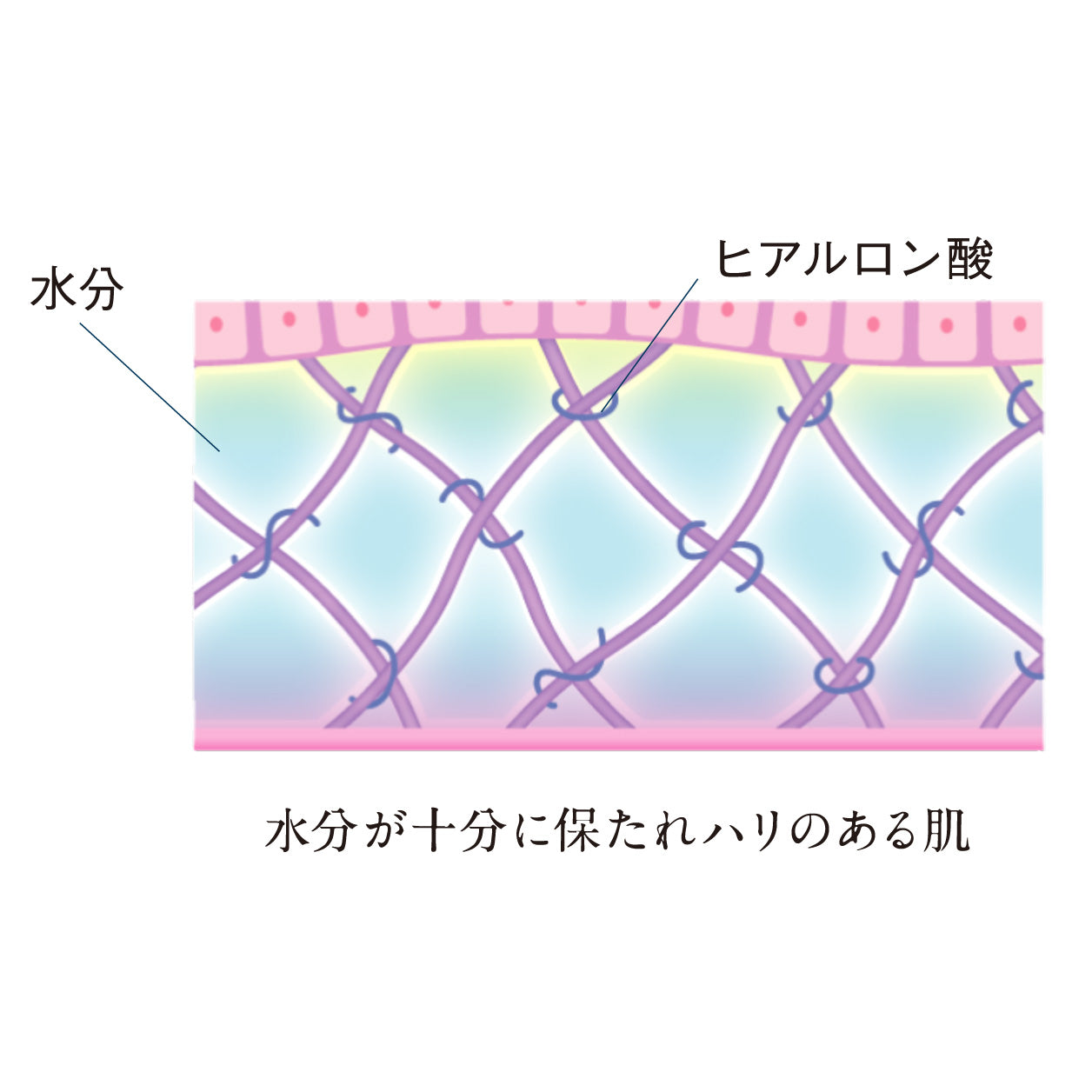 ハイブリッド洗顔フォーム 100ml