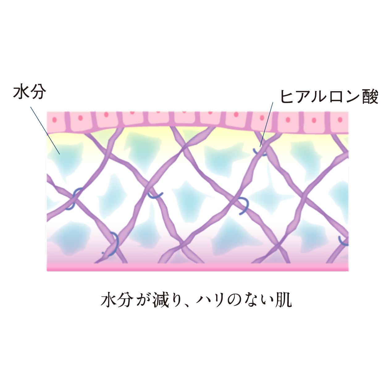 ハイブリッド洗顔フォーム 100ml