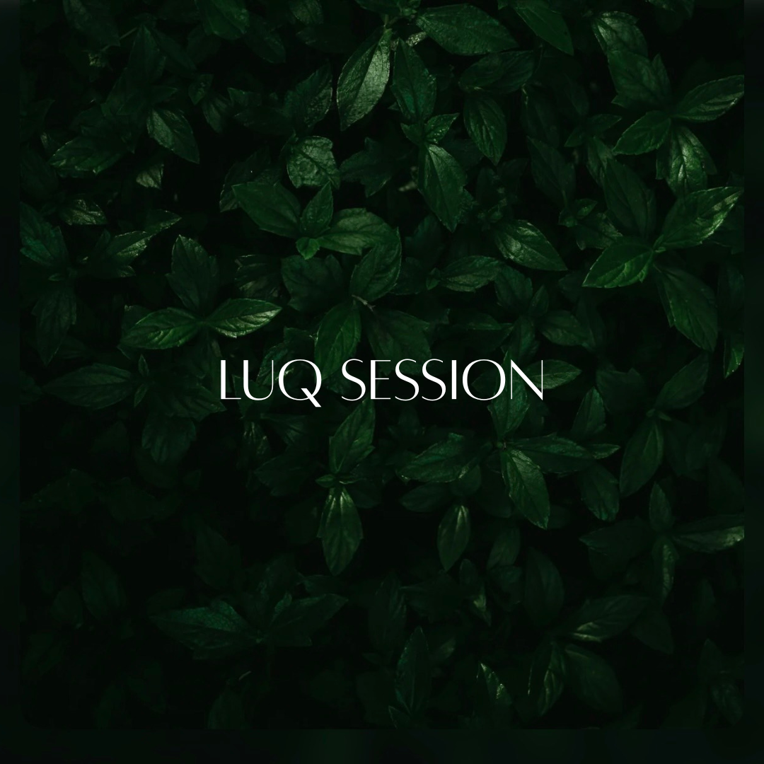 Luq Session　Ally専用